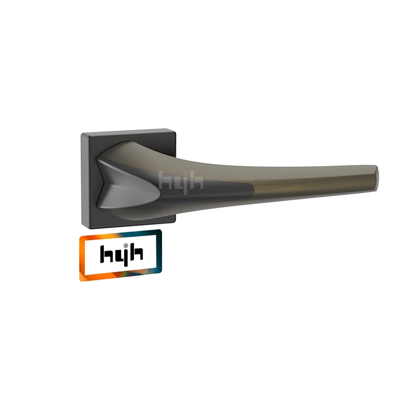 Modern Design Fancy Double Sided Security Door Handle
