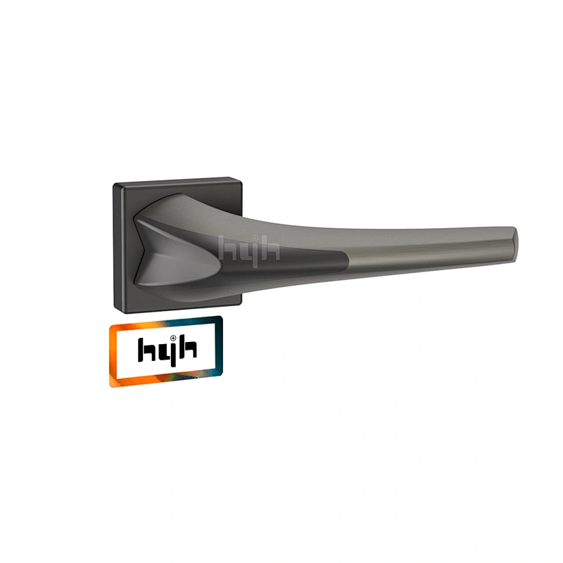 Modern Design Fancy Double Sided Security Door Handle